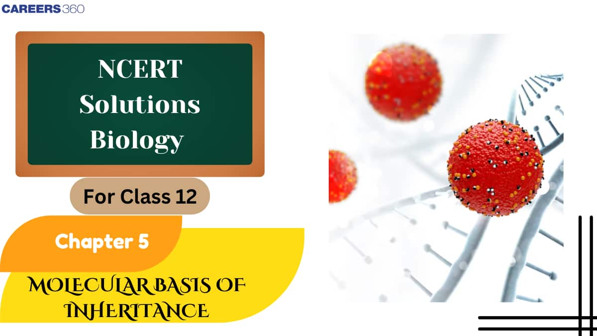 NCERT Solutions for Class 12 Biology Chapter 5 Molecular Basis of Inheritance