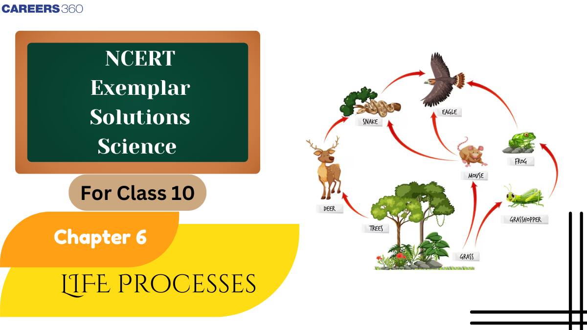 NCERT Exemplar Class 10 Science Solutions Chapter 6 Life Processes