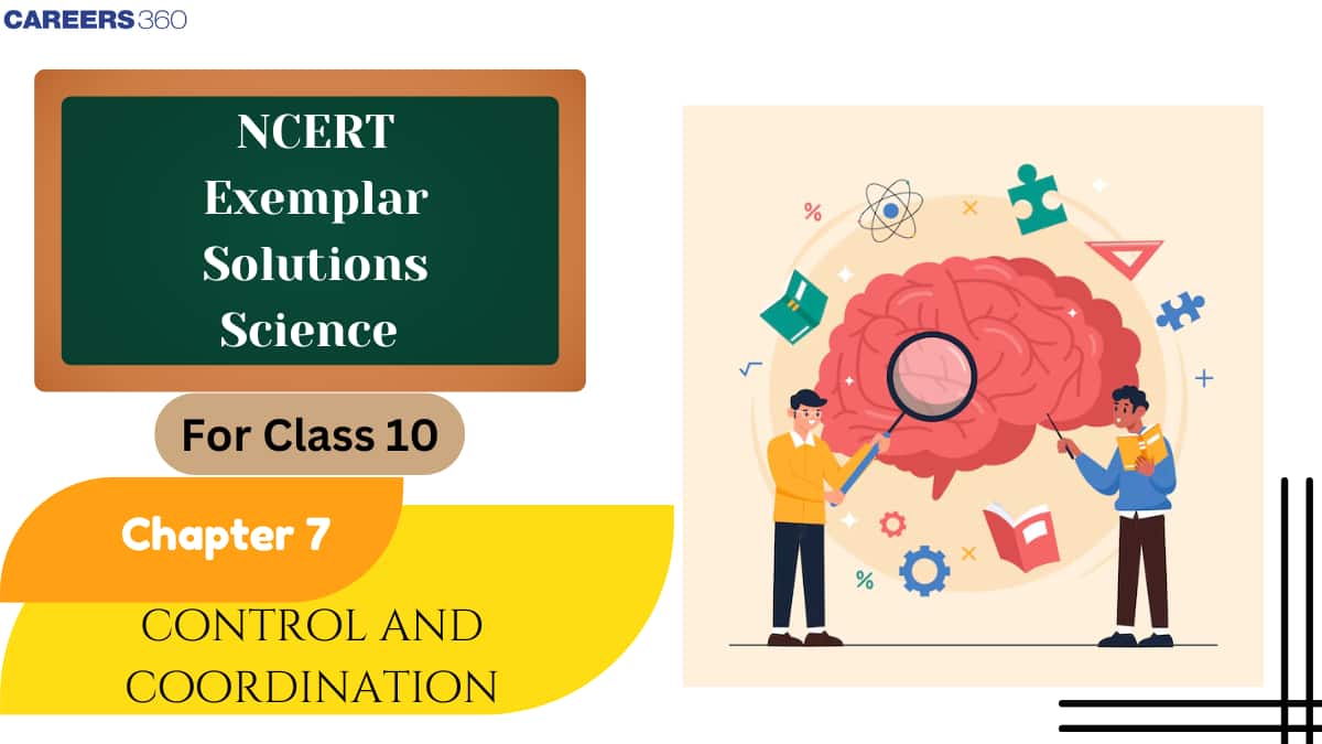 NCERT Exemplar Class 10 Science Solutions Chapter 7 Control and Coordination