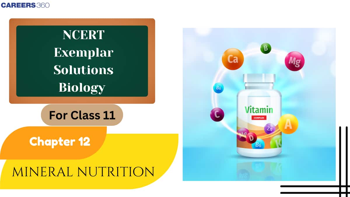 NCERT Exemplar Class 11 Biology Solutions Chapter 12 Mineral Nutrition
