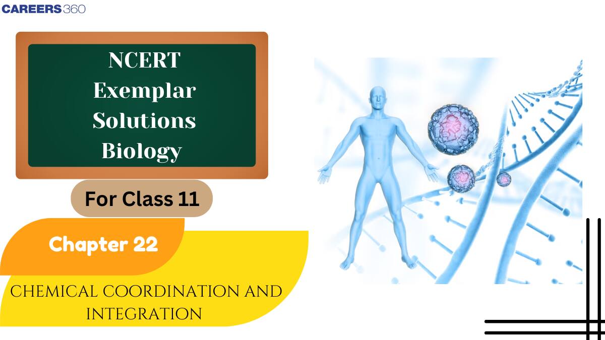 NCERT Exemplar Class 11 Biology Solutions Chapter 22 Chemical Coordination and Integration