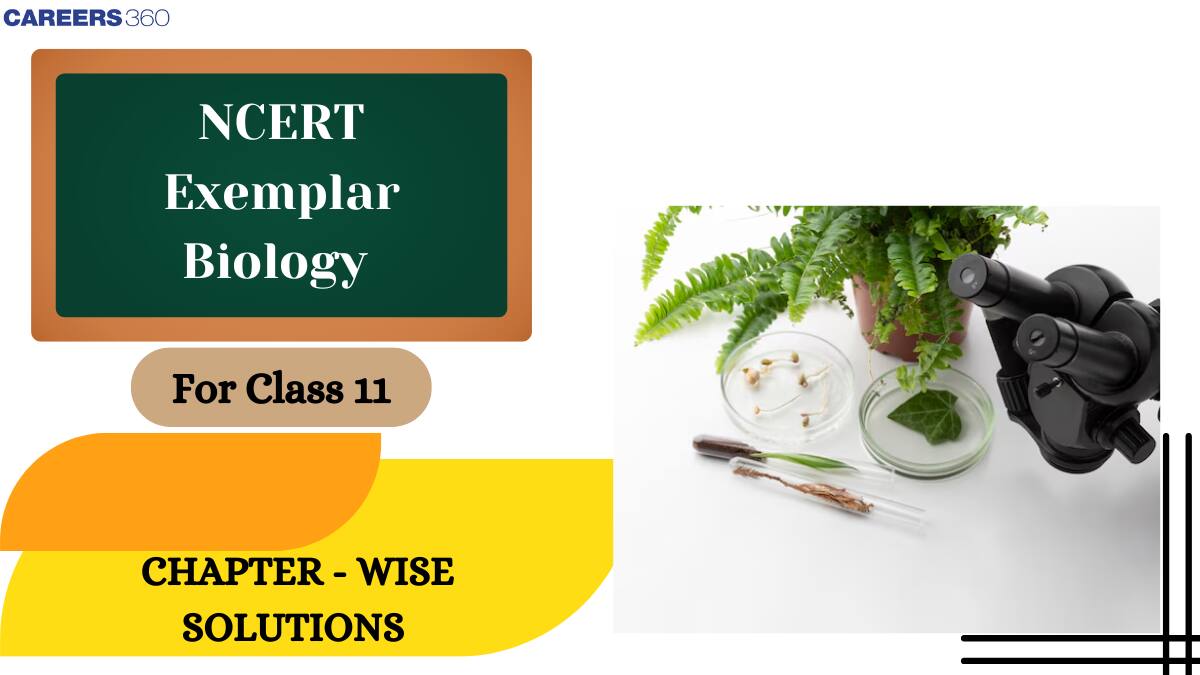 NCERT Exemplar Class 11 Biology Solutions - Chapter Wise Problems with Solutions