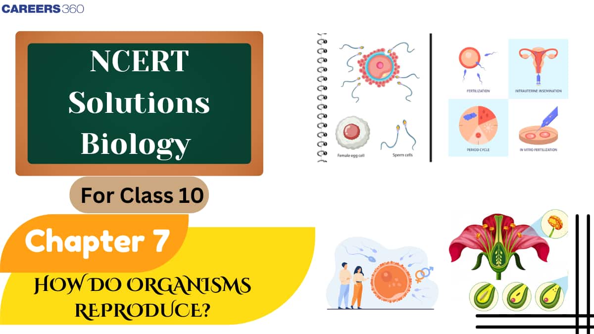 NCERT Solutions for Class 10 Science Chapter 7 How do Organisms Reproduce?