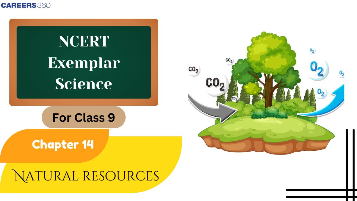 NCERT Exemplar Class 9 Science Solutions Chapter 14 Natural Resources