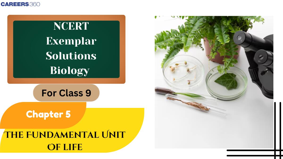 NCERT Exemplar Class 9 Science Solutions Chapter 5 The Fundamental Unit of Life