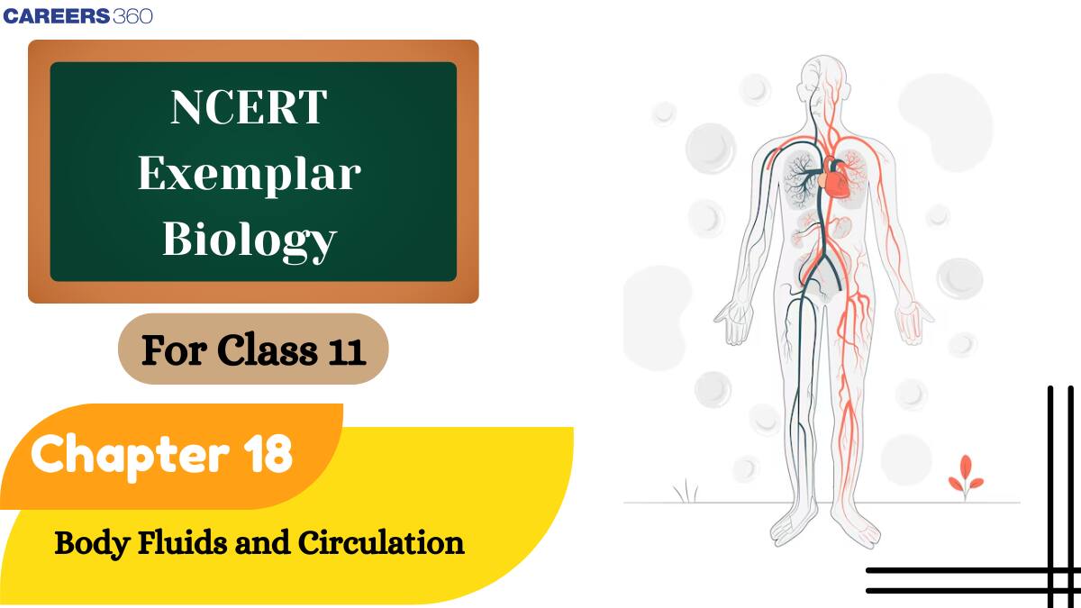 NCERT Exemplar Class 11 Biology Solutions Chapter 18 Body Fluids and Circulation
