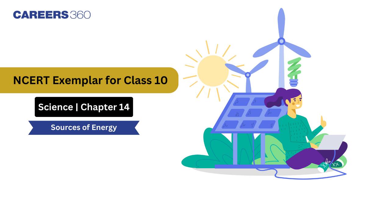 NCERT Exemplar Class 10 Science Solutions Chapter 14 Sources of Energy