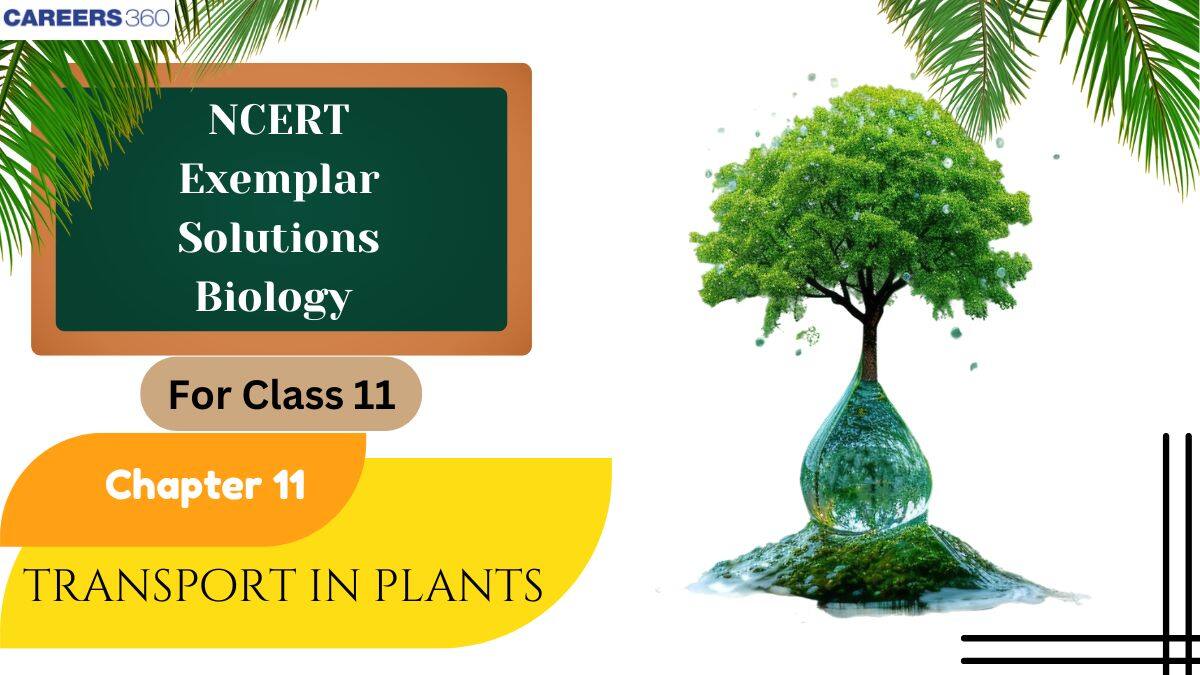 NCERT Exemplar Class 11 Biology Solutions Chapter 11 Transport in Plants
