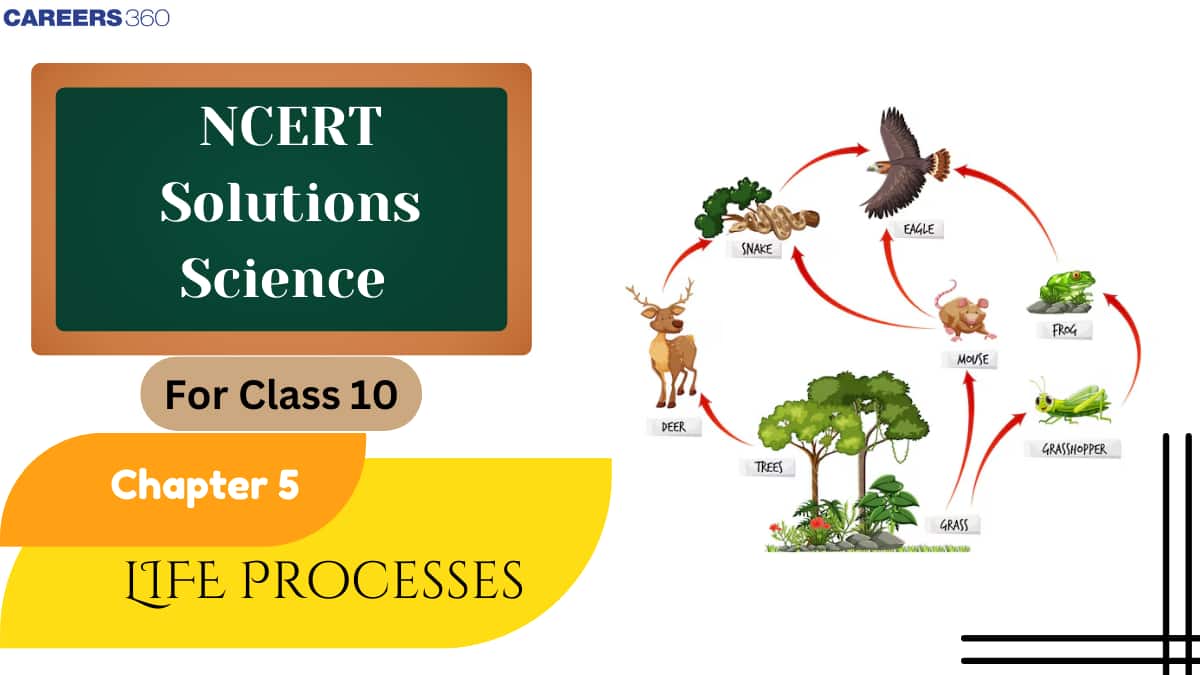 NCERT Solutions for Class 10 Science Chapter 5 Life Processes
