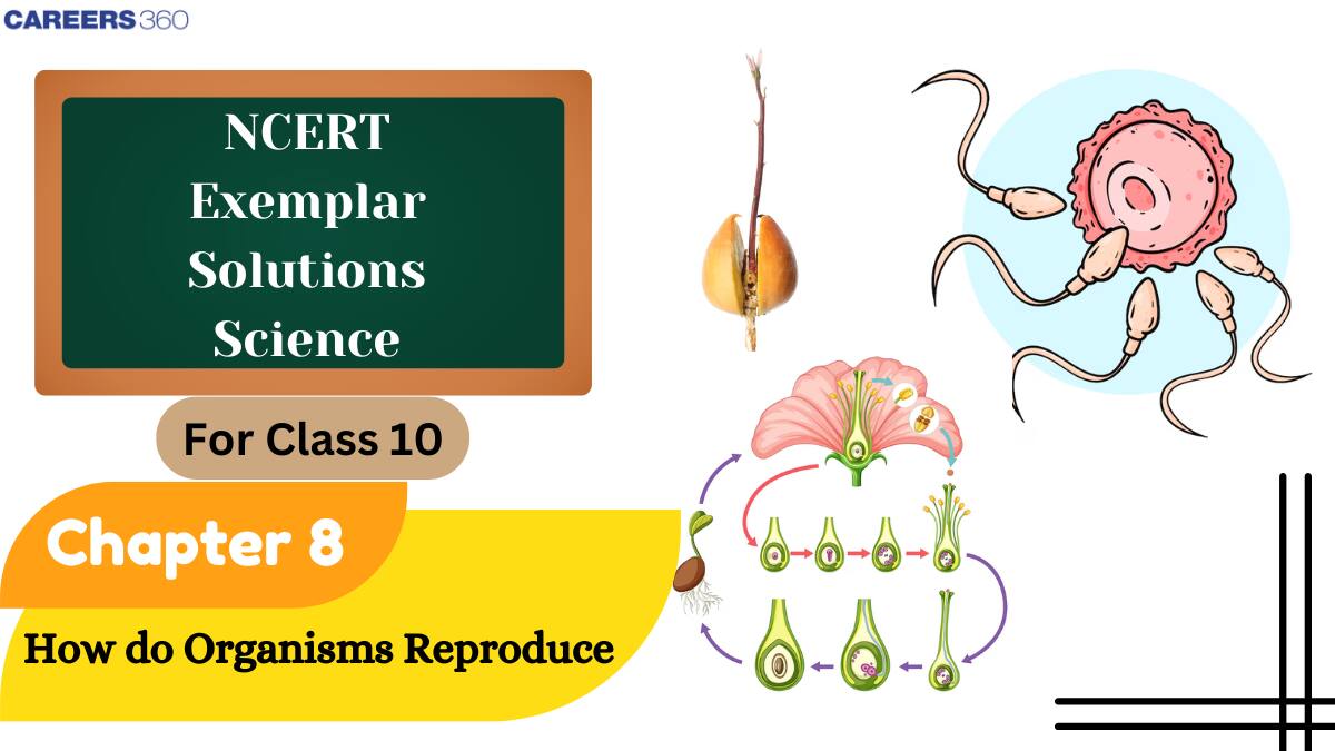 NCERT Exemplar Class 10 Science Solutions Chapter 8  How do Organisms Reproduce