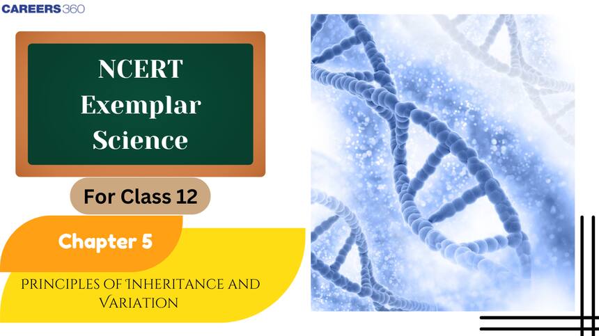 NCERT Exemplar Class 12 Biology Solutions Chapter 5 Principles of Inheritance and Variation